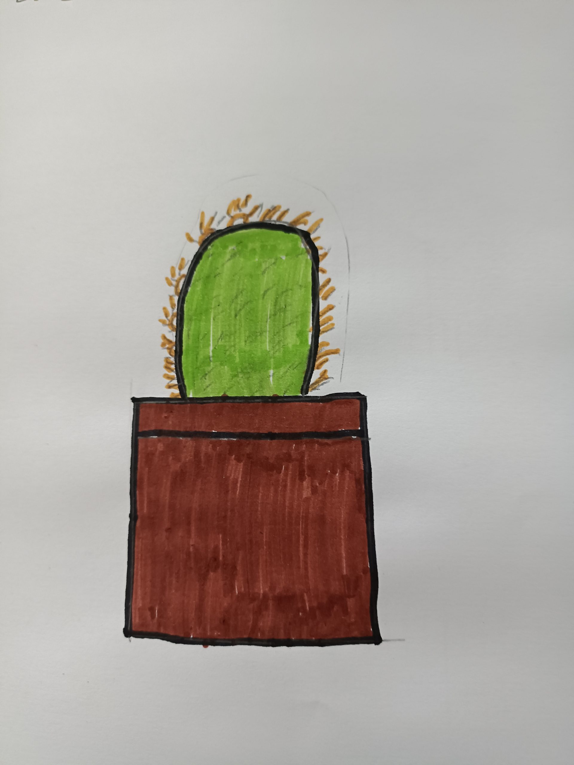 “Cactuslandia”